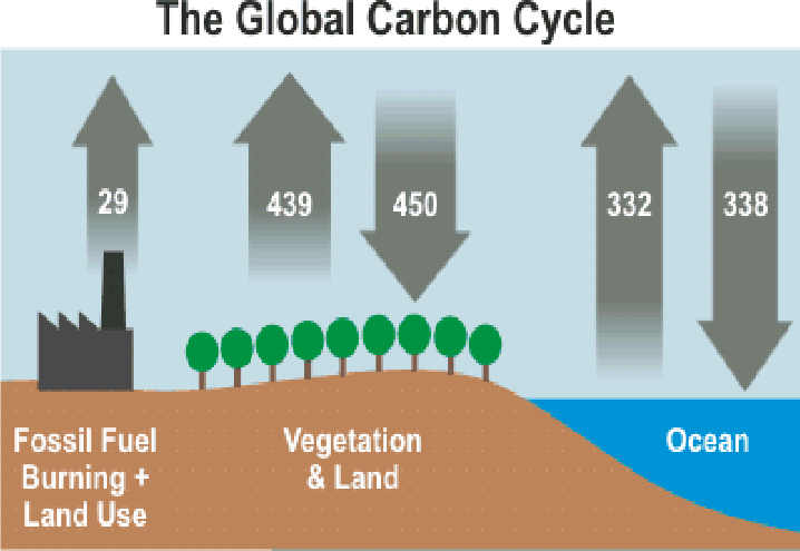 In particolare saranno messi in evidenza sia l importanza di possedere energia per il benessere dell Uomo sia il rischio associato,