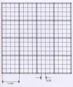 Fuchs-Rosenthal, doppio reticolo La profondità della camera è di 0,2 mm.