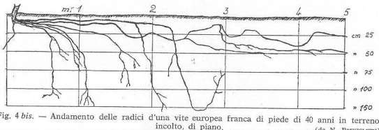 numero parallelamente al