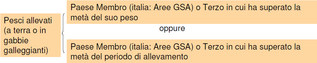 nel caso di pesci, la menzione dello Stato membro o del paese terzo in cui il prodotto ha