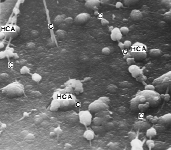 Ingegneria del vetro V.M.