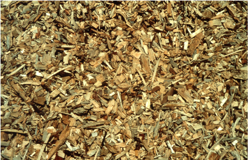 Caratterizzazione della biomassa Alimentazione impianto Fabbisogno biomassa annua 9.000/12.