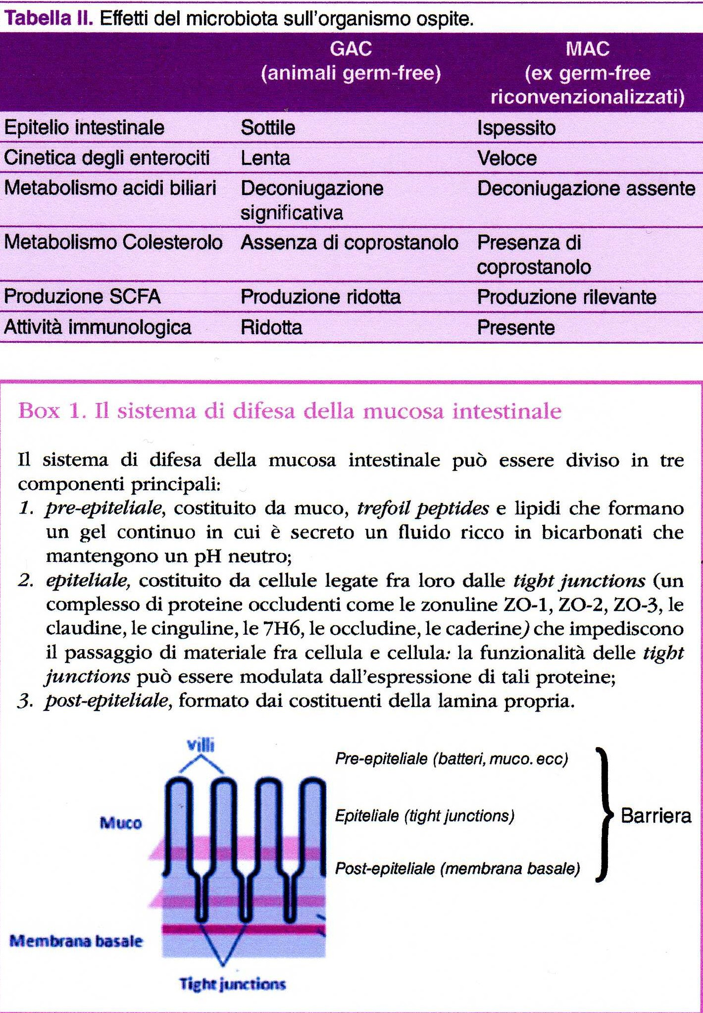 EFFETTI DEL MICROBIOTA SULLE CELLULE INTESTINALI 22