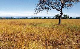 AMBIENTE e tradizioni del biellese In grembo alle colline che dolcemente diventano montagne, il biellese è una terra ricca, oltre che di testimonianze della devozione, anche di tradizioni e di