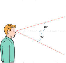 Alcolici e Stupefacenti Nella fase acuta si ha una riduzione dell acuità Il Campo Visivo L esame del campo visivo costituisce una importante diagnosi del buon funzionamento di tutte le vie ottiche.