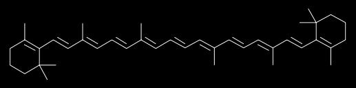 Sistemi di difesa dai ROS non enzimatici GSH vitamina C enzimatici Catalasi: 2H₂O₂ => 2H₂O + O₂ Perossidasi: ROOH + X rid = ROH + X ox OH Superossido