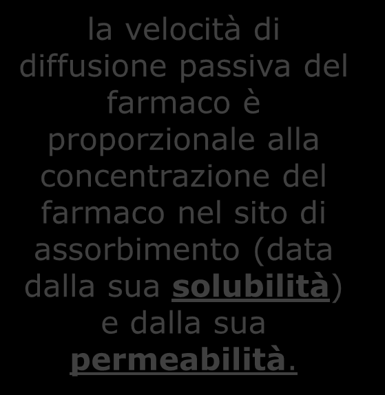 a la zona di assorbimento, ossia tanto più il flusso sanguigno è elevato e trasporta via più velocemente il p.a. siamo nelle Condizioni di