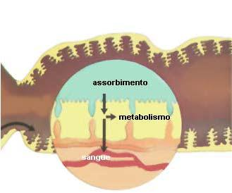 biologici e  diffusione