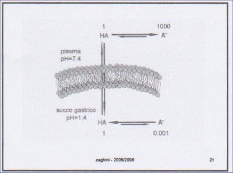 Nel plasma ph = 7,4: log [ A ] [ HA] 7, 4 3 4, 4