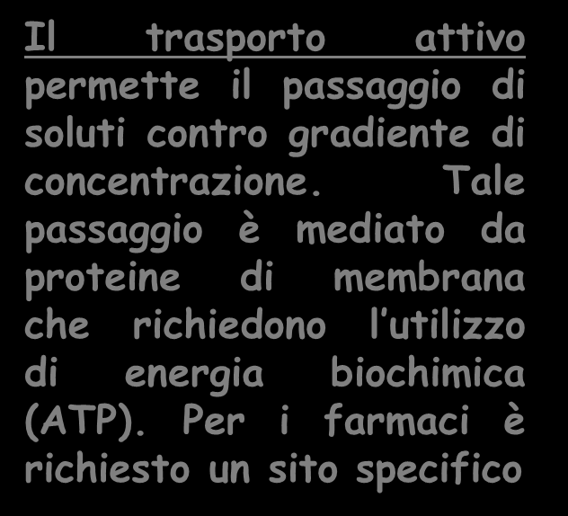 emazie Il trasporto attivo permette il passaggio di soluti contro gradiente di concentrazione.