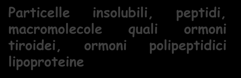 ormoni polipeptidici lipoproteine L ESOCITOSI rappresenta il fenomeno