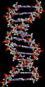 Nucleotidi e