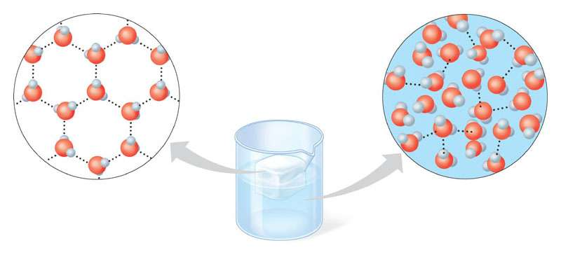 Il ghiaccio è meno denso dell acqua allo stato liquido I legami idrogeno tengono insieme le molecole nel ghiaccio in modo meno denso che nell acqua allo