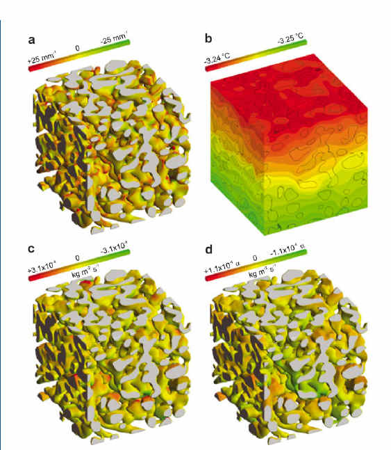 Curvatura Temperatura Diffusione Reazione Metamorfismi da gradiente