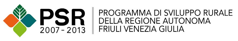 bollettino ufficiale della regione autonoma friuli venezia giulia 27 dicembre 2013 52 127 GAL 