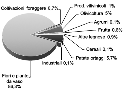 Il restante 36,6% di superficie investita è la SAU (Superficie Agricola Utilizzata) e comprende per il 19,4% prati permanenti e pascoli, per l 11,5% coltivazioni permanenti e per il restante 5,7%