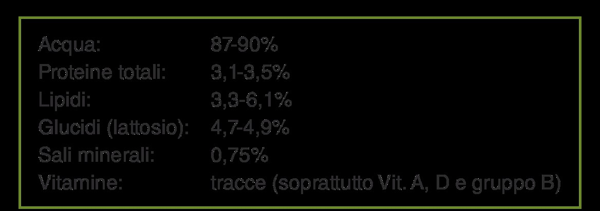 La composizione