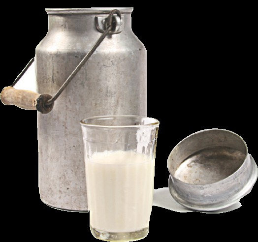 Il LATTE CRUDO è un latte appena munto che viene venduto come tale.