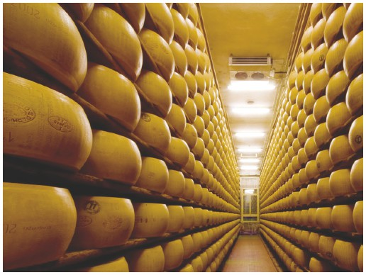 Formaggi Maturazione I formaggi che non vengono consumati subito possono subire una stagionatura più o meno prolungata in locali aerati e freschi.