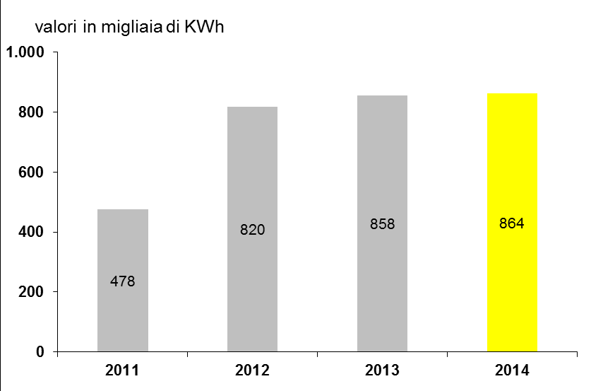 Il grafico che segue evidenzia l andamento dei clienti dell energia elettrica.