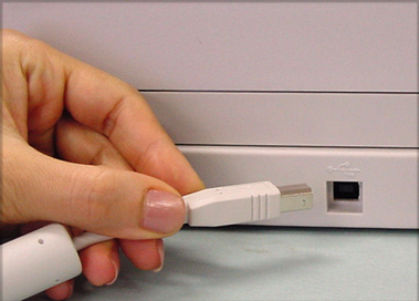 2.3 Collegare lo Scanner al cavo USB Seguire le seguenti procedure per collegare il cavo di interfaccia USB. 1. Collegare il cavo di interfaccia USB al connettore di interfaccia USB. 2.
