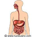 Cos'è il Tumore Stromale Gastrointestinale (GIST)? - Tumore raro; categoria sarcomi dei tessuti molli; colpisce organi del tratto gastro-intestinale. - Incidenza di 1,5/100.