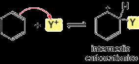 Reattività del benzene Il benzene, per la presenza di elettroni p, si