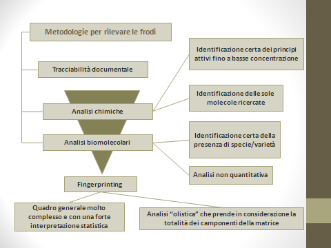 La domanda che ci siamo posti è: «Quali sono le metodologie per rilevare le frodi?