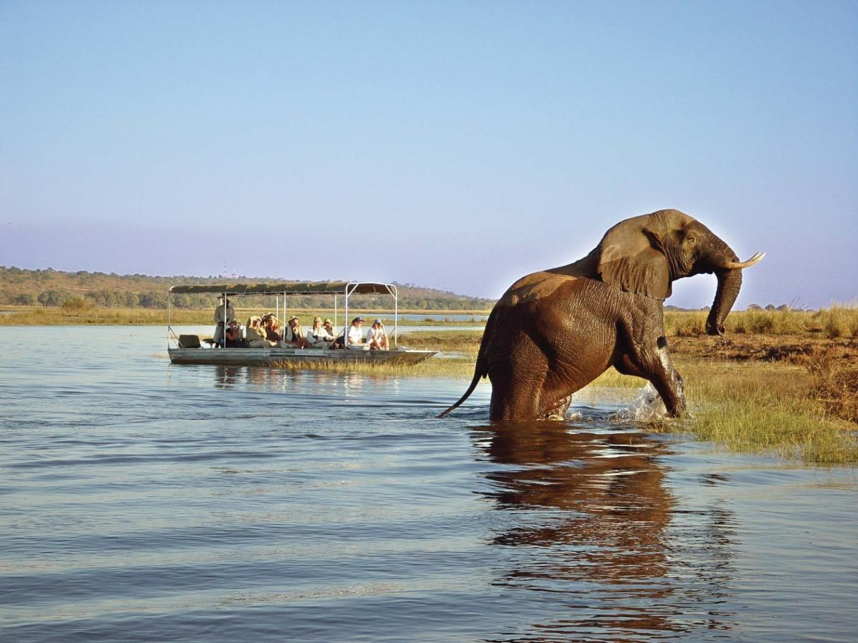 SPEDIZIONE IN BOTSWANA BOTSWANA Località Palapye, Boteti River, Khwai, Moremi, Okavango, Chobe, Victoria Falls (Zimbabwe)