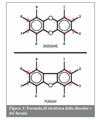 1. DIOSSINE E FURANI Aspetti generali PCDD/ PCDF Nell uso corrente il termine improprio di Diossine indica un insieme di 210 sostanze chimiche aromatiche policlorurate che appartengono a due