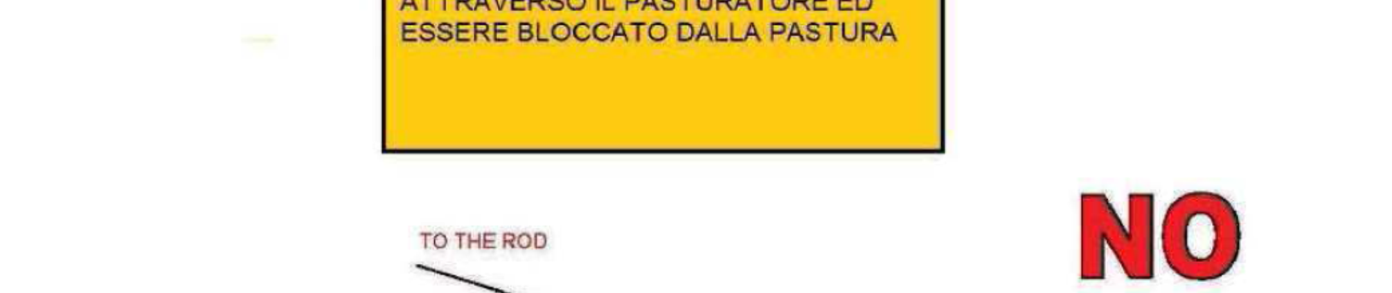 Il pescato deve essere conservato in modo da evitargli ogni possibile danno; un concorrente che presenti alle