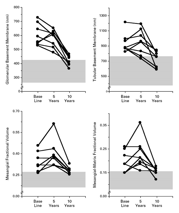 Thickness of the Glomerular Basement Membrane, Thickness of the Tubular Basement Membrane, Mesangial Fractional Volume, and