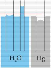 Ancora sull idrostatica: utili concetti multi-disciplinari Immergendo un tubo capillare in un recipiente che contiene un liquido, in generale il liquido