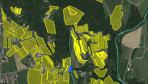 Esempi di potenziali invasi nel Comune di Corno di Rosazzo già parzialmente