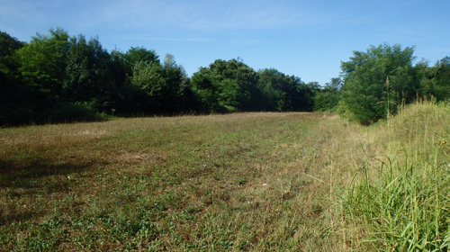 Esempi di potenziali invasi nel Comune di Corno di Rosazzo già parzialmente studiati e analizzati: Invaso Valle Confluenza Torrente Corno e Rio Cornizza Superficie area individuata: