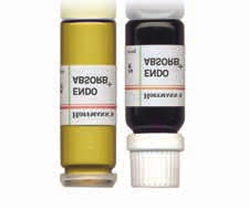 CEMENTI 285 CEMENTI NATURALI HOFMANN S ENDO ABSORB PLUS Hofmann Materiale per il riempimento temporaneo del canale radicolare con azione antimicrobica e con una speciale caratteristica: assorde l