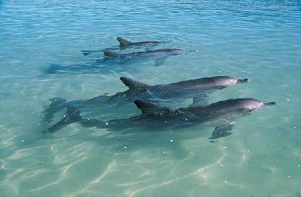 lungo la Coral Coast dell Australia Occidentale.