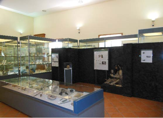 Nei musei di Antropologia e Paleontologia sono state allestite alcune vetrine con rocce e minerali utilizzati dal Paleolitico