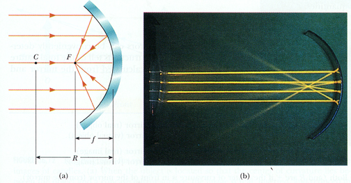 Spherical Mirrors Focus and focal length 1 p + 1