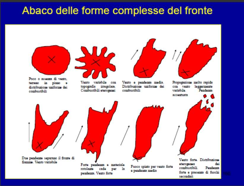 Poco o assenza di vento, terreno in piano e distribuzione uniforme dei combustibili Vento variabile con topografia irregolare.