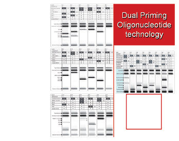 MPV PIV Figura 1 - Epidemiologia, suddivisa per stagionalità, di alcuni tra i principali virus respiratori riscontrati in adulti e bambini nella realtà geografica della Provincia di Pordenone durante