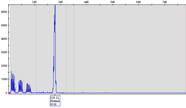 Tecniche innovative in diagnostica molecolare di FMR1 RP- PCR Forward Primer CGG CGG CGG CGG CGG CGG CGG