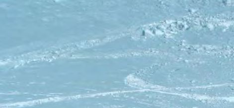 MS 9 febbraio (giovedì) Notturna con sci e ciaspole Cimone di Margno Valsassina Disl. 450 mt / Diff. MS 12 febbraio Monte Vigna Vaga Val di Scalve Disl. 1289 mt / Diff.