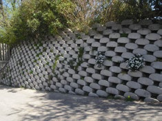 alloggiare piante perenni, dando al muro un aspetto eco-compatibile.