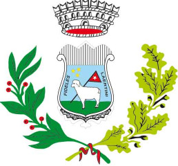 COMUNE DI LATERZA Provincia di Taranto REGOLAMENTO SUL