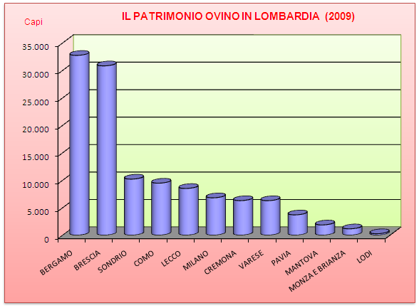 IL MERCATO DELLE CARNI: