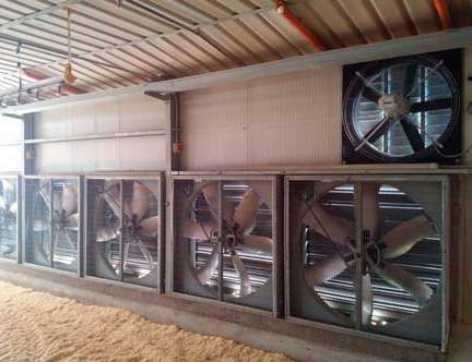 ventilazione deve garantire l idonea aerazione in ogni capannone.