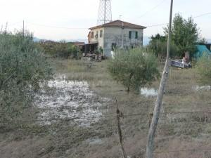 Non è la prima volta Senza vittime tra le persone il dramma