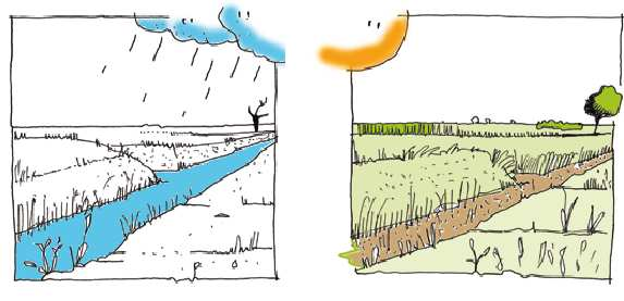 ART 2 Definizioni SCOLINE SCOLINE: piccoli fossati situati ai margini del campo per raccogliere l acqua in eccesso; FOSSI: cavi dove può scorrere acqua meteorica, di risorgiva o comunque FOSSI di