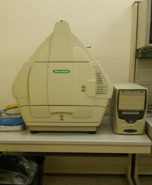in campo pulsato, PCR qualitativa, elettroforesi orizzontale,
